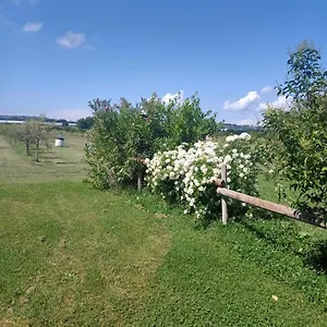 Il Cipresso Vada